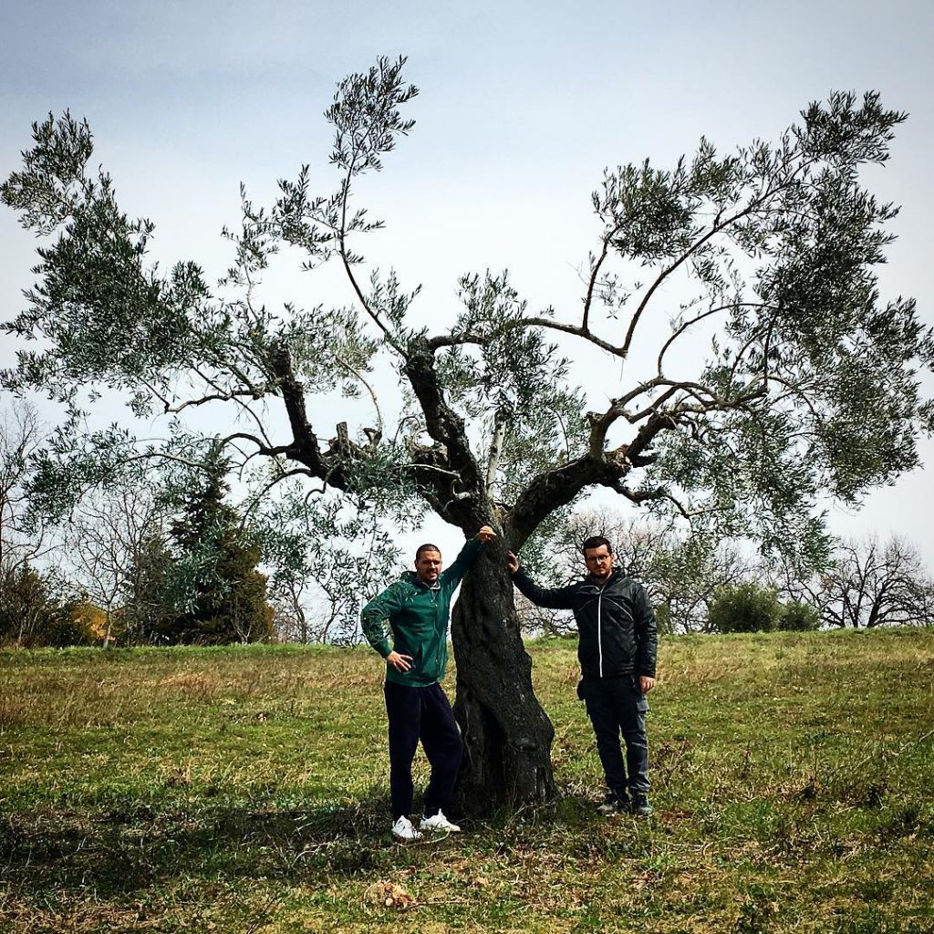 Oliveto Ventinove a.C.