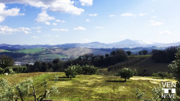 Oliveto Ventinove a.C. nelle Marche